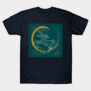 Aqua lunar rabbit T-Shirt